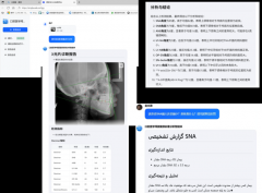 供给个性化、陪同式的进修支撑 